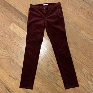 NWOT LOFT velvet  jeans, sz 4